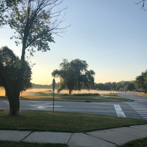 Meet your Posher, Rose